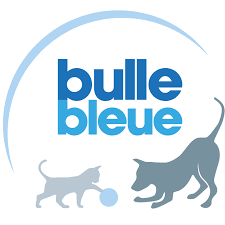 Logo - Bulle Bleue