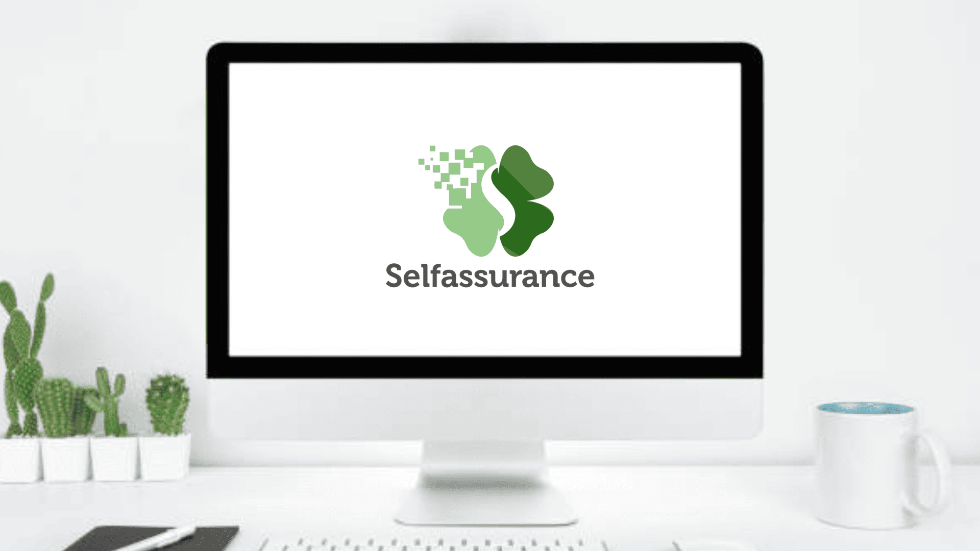 assurance-selfassurance