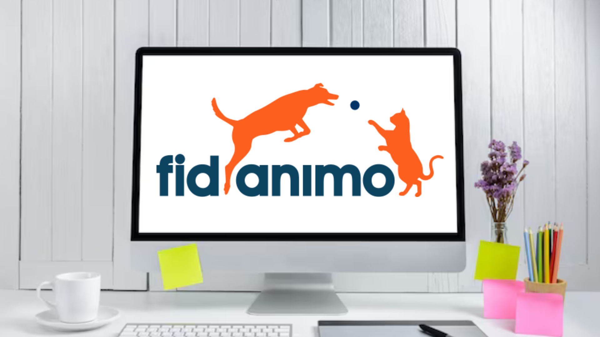 couverture assurance animaux fidanimo